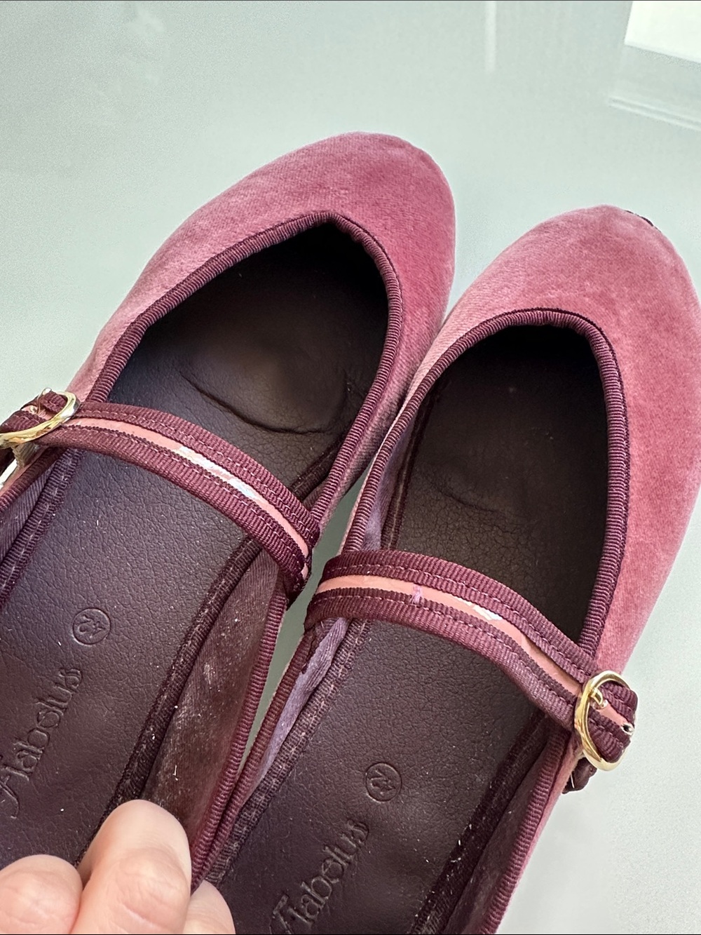 Flabelus | Pierre Burgundy - Picture 6 of 6
